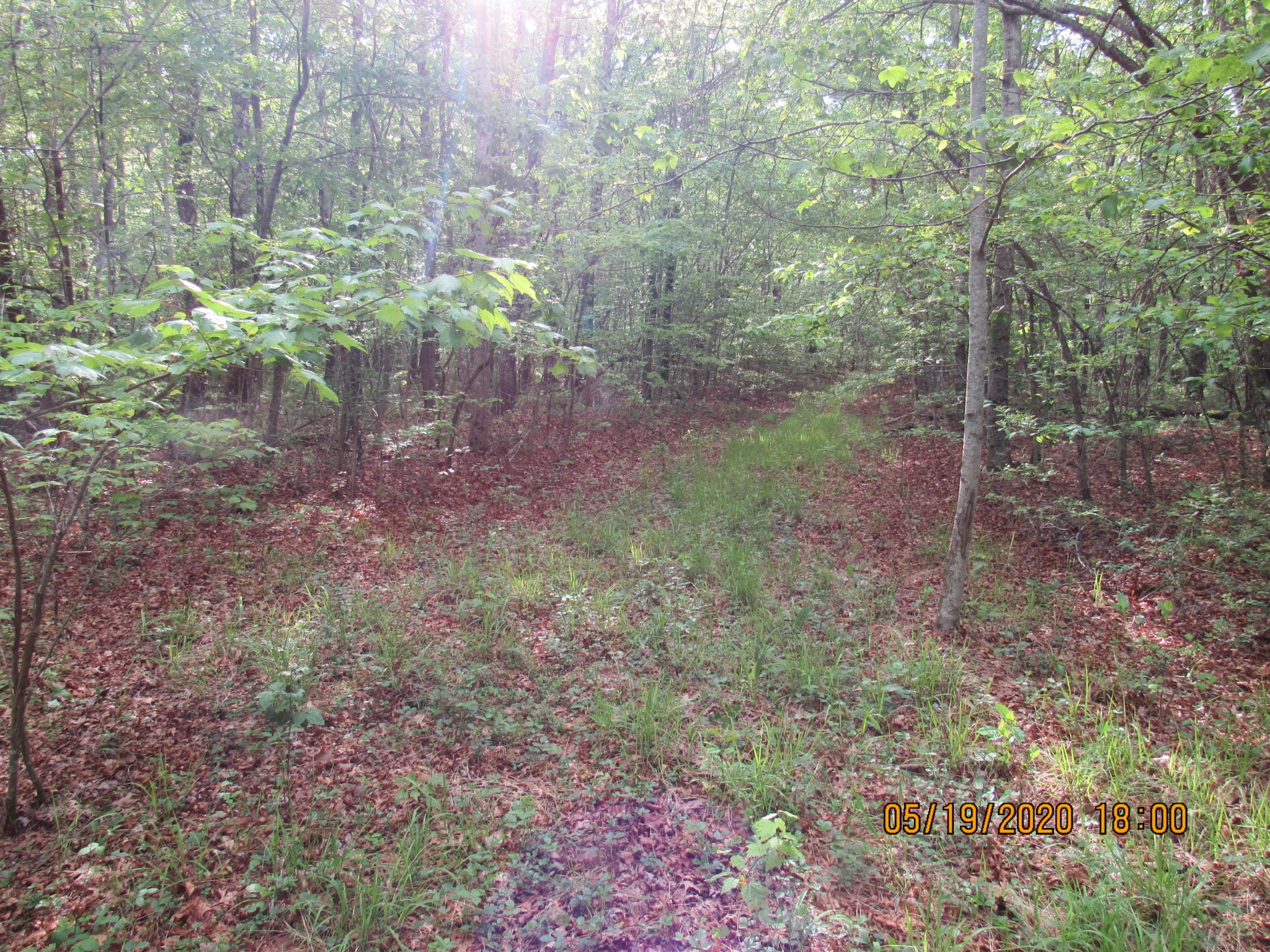 42 Coon Hollow Road Deer Lodge, TN 37726 - Photo 5 of 40