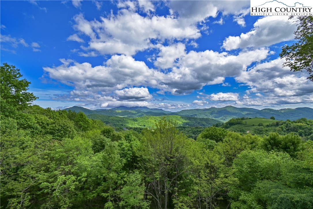 923 Fox Meadow Road Banner Elk, NC 28604 - Photo 2 of 48 Gallery Image 2