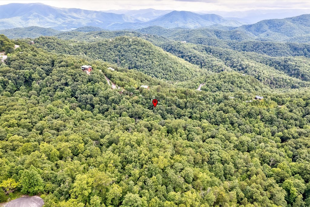 64 Redtail Road Sevierville, TN 37862 - Photo 22 of 29 Gallery Image 22
