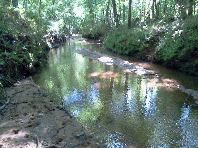 726 Comer Road Gray, GA 31032 - Photo 5 of 8 a view of water with green space