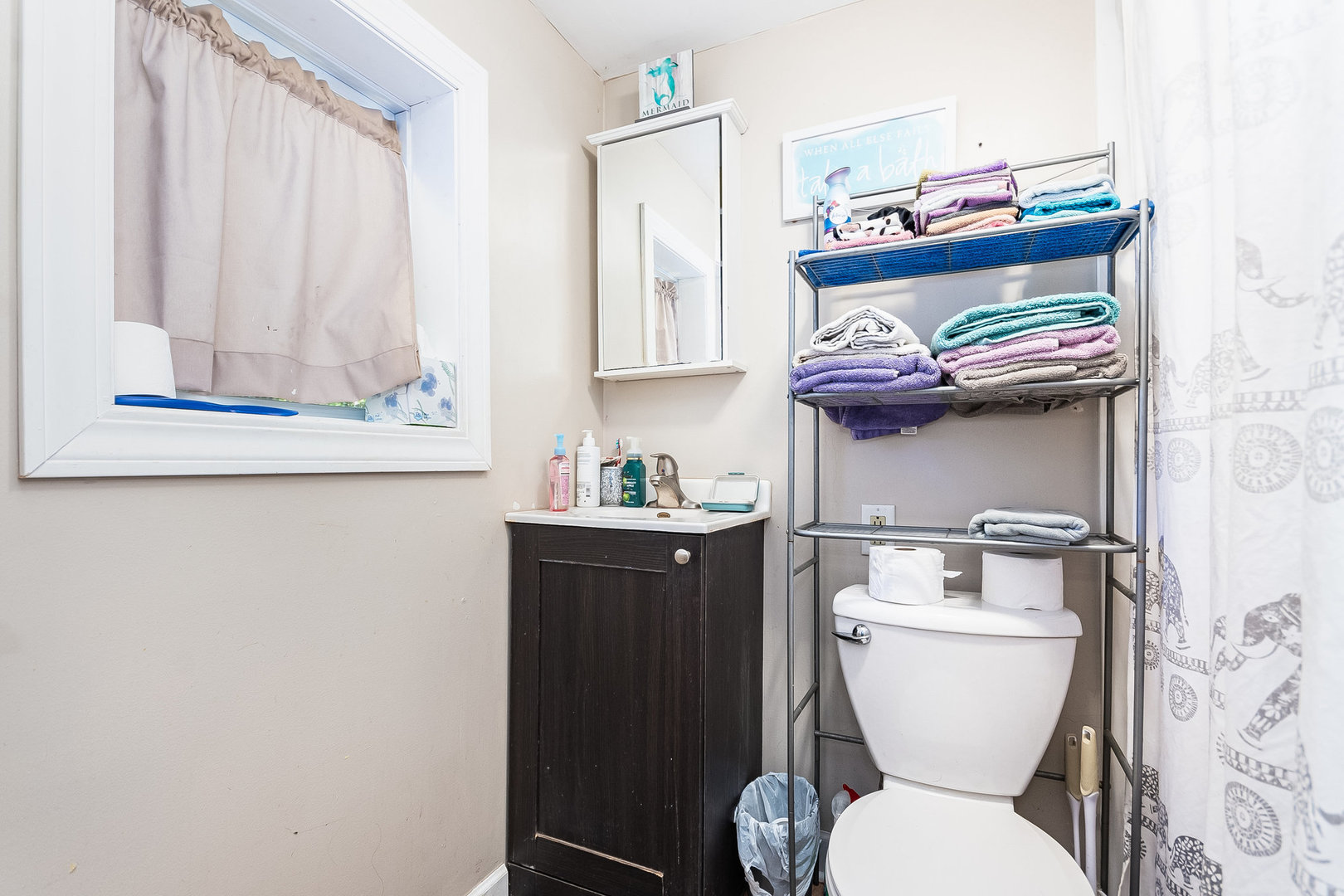 341 West Kennedy Road Braidwood, IL 60408 - Photo 13 of 15 a bathroom with a toilet a sink and a mirror
