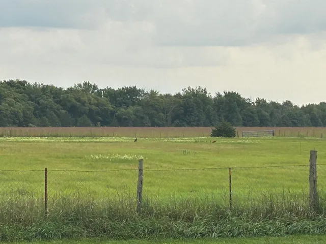 $286,500 | N3974 County Rd HH, Mauston, WI 53948