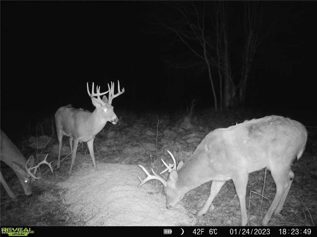 Coshocton Road Newcomerstown, OH 43832 - Photo 35 of 35 Gallery Image 35