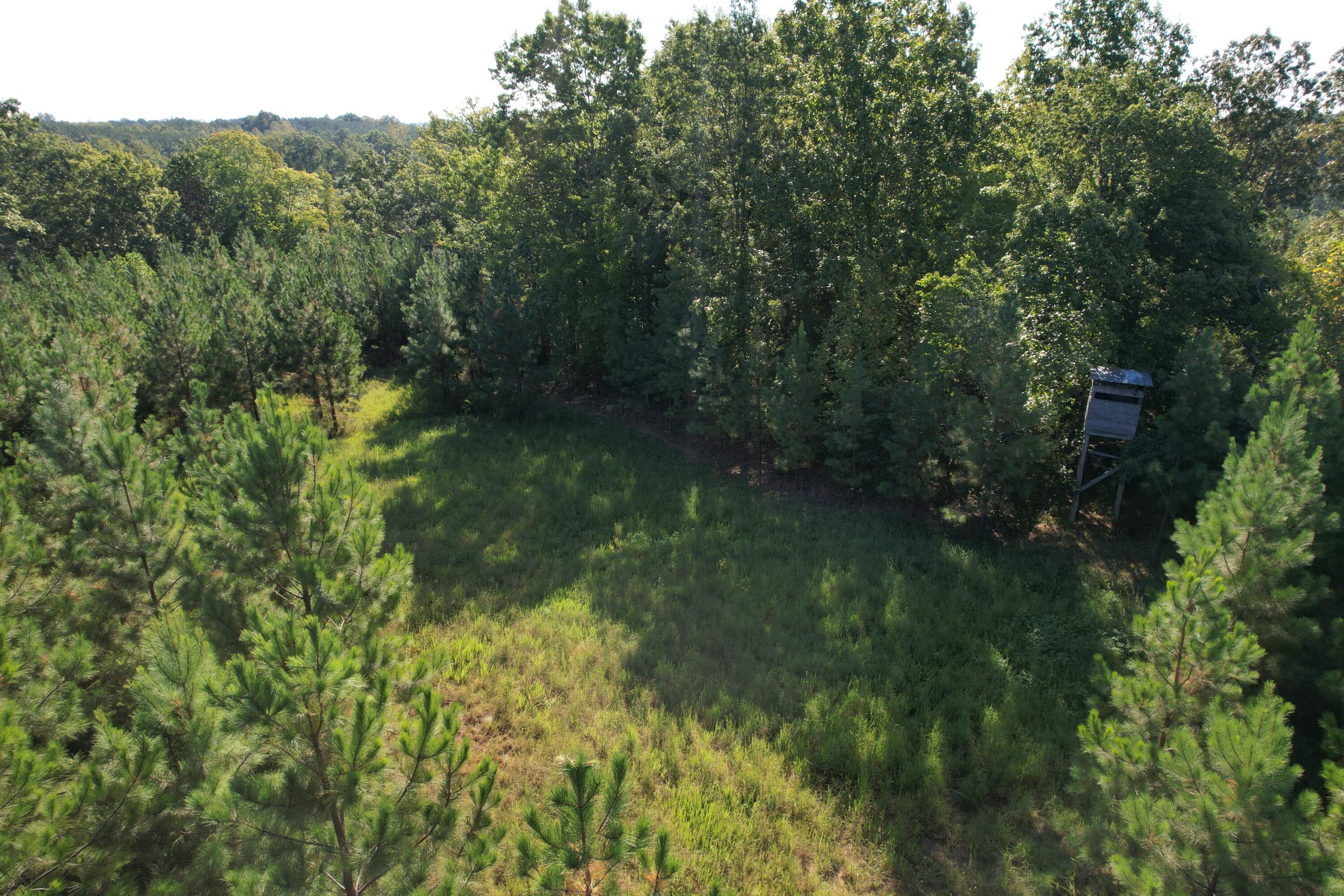 1145 Sugar Barbour Road Axton, VA 24054 - Photo 91 of 121 DJI_0661