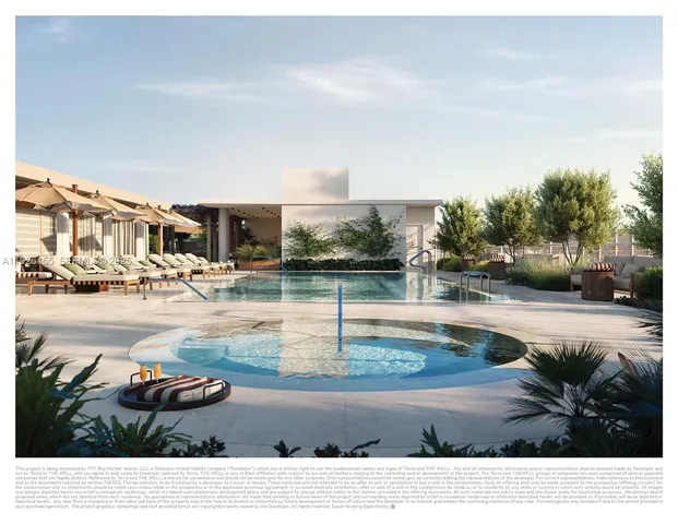 a outdoor space with lots of palm trees