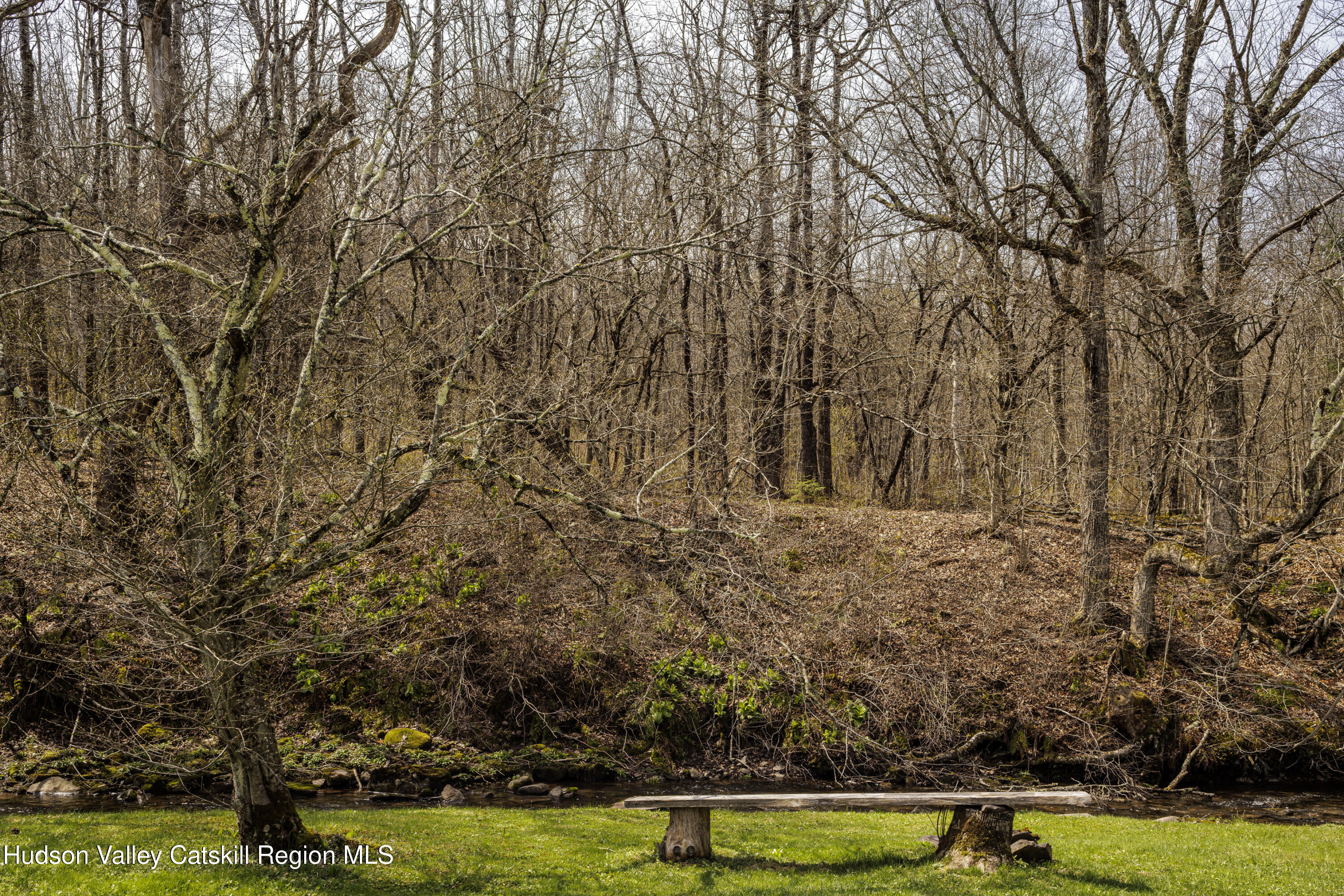 749 County Road 353 Rensselaerville, NY 12122 - Photo 24 of 36 Creek Bench