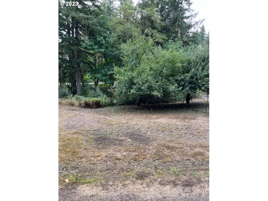 Clark Loop Toledo, OR 97391 - Photo 3 of 9 Gallery Image 3