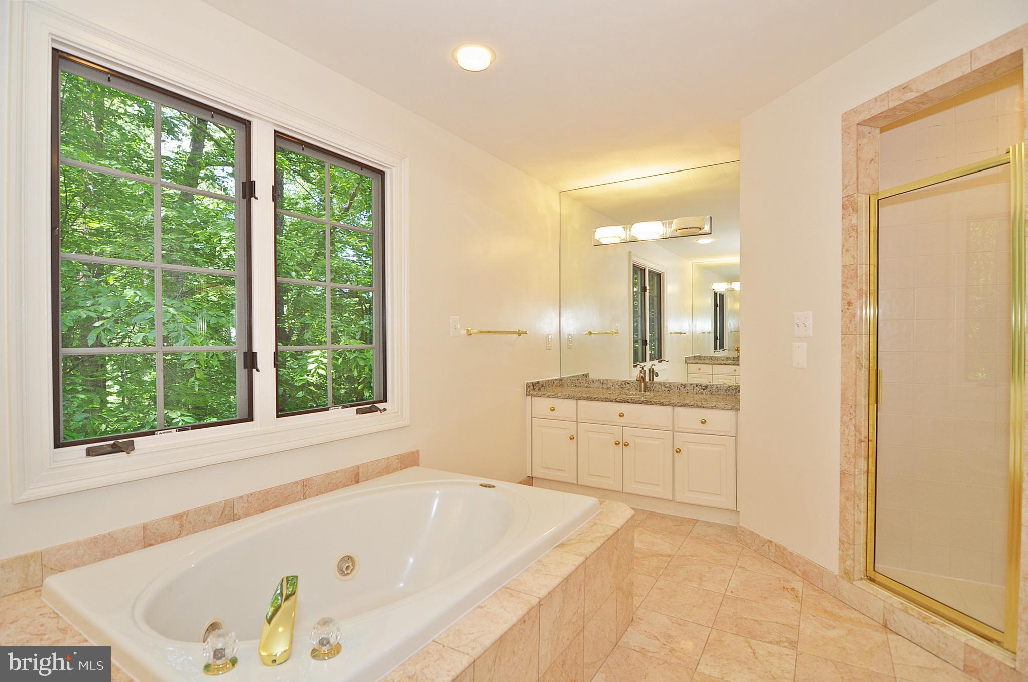 2993 Westhurst Lane Oakton, VA 22124 - Photo 15 of 37 Master Bath #1