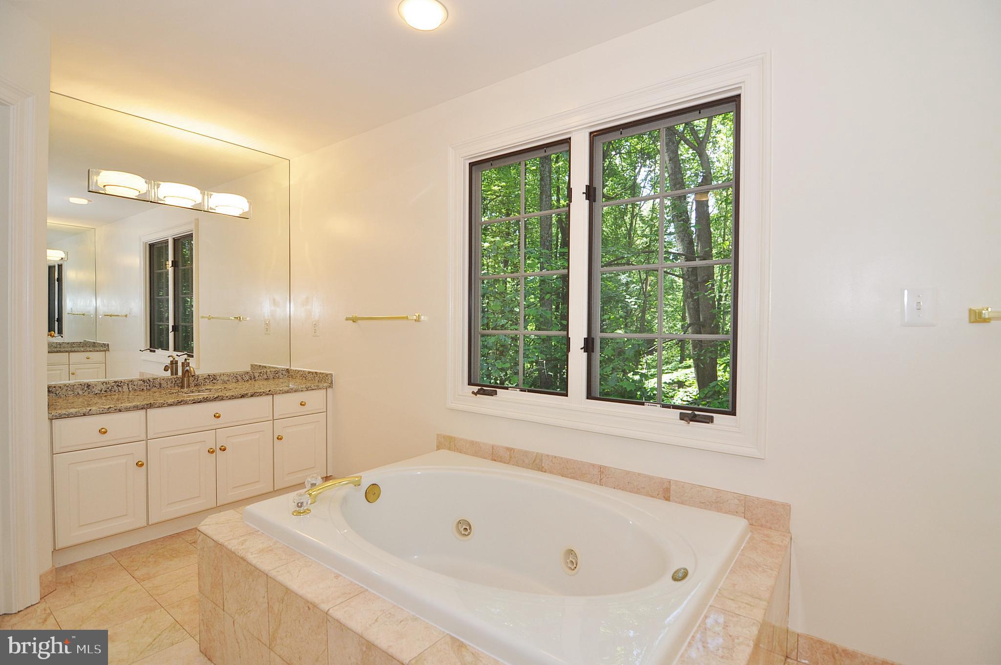 2993 Westhurst Lane Oakton, VA 22124 - Photo 16 of 37 Master Bath #1