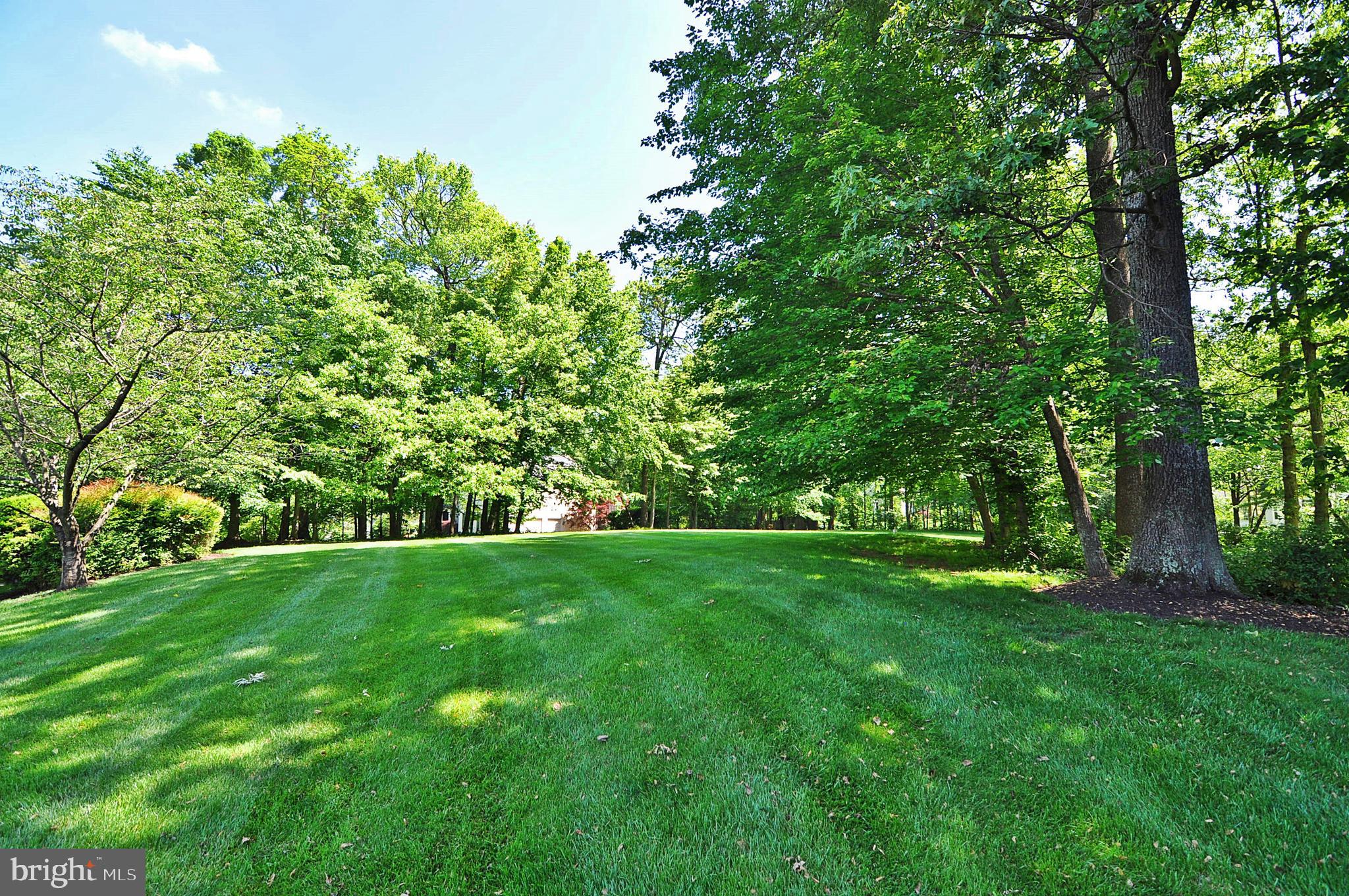 2993 Westhurst Lane Oakton, VA 22124 - Photo 34 of 37 Side yard