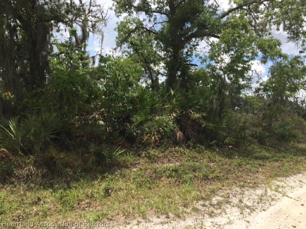 2907 West Albatross Road Avon Park, FL 33825 - Photo 1 of 5 Gallery Image 1