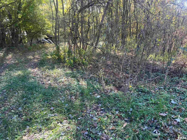 $15,000 | 400 West Cross Street, Kinmundy, IL 62854