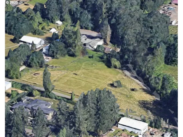 a view of a yard with plants