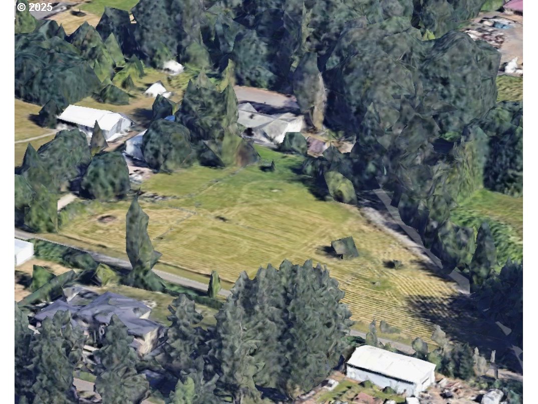 a view of a yard with plants