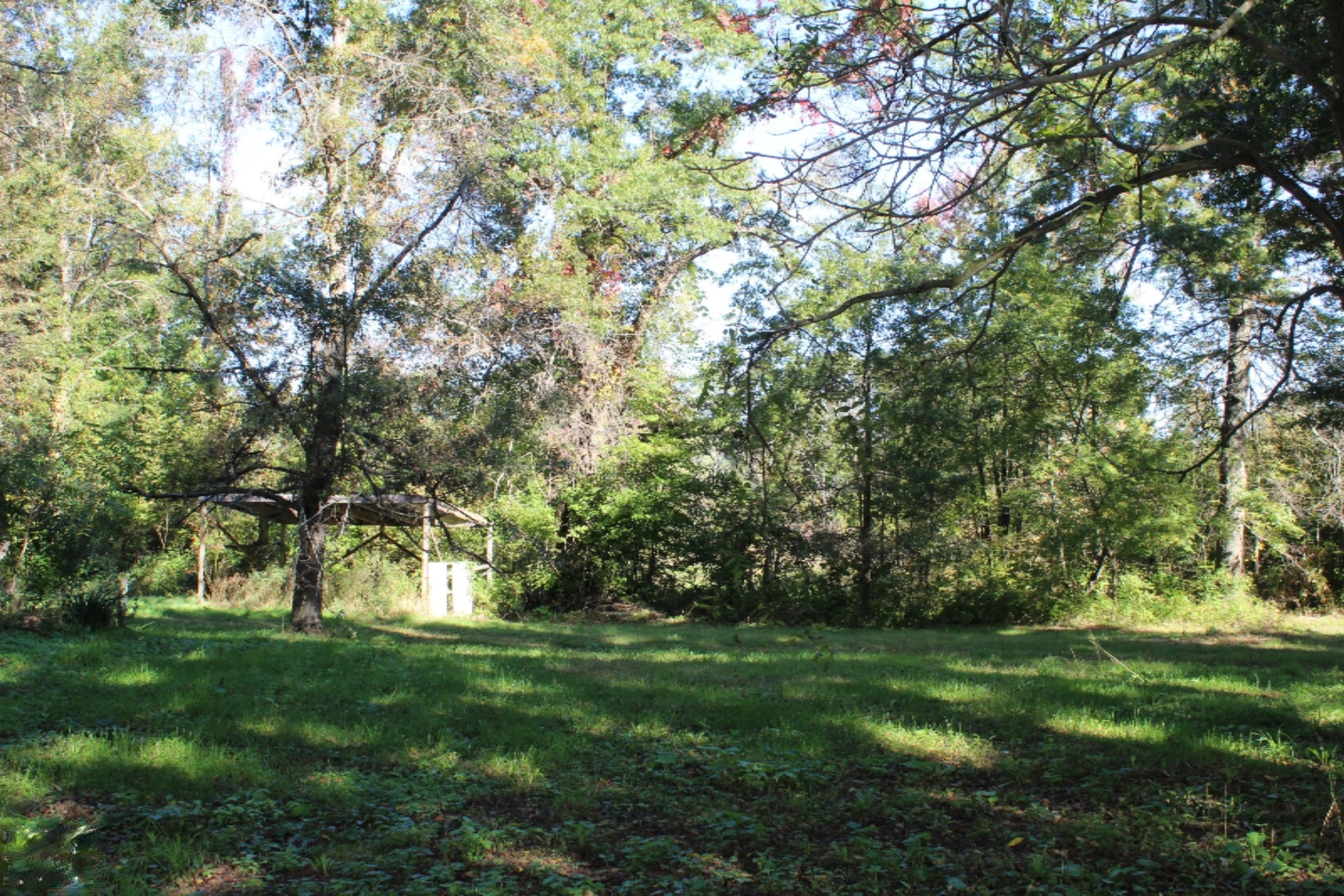 4162 Wheeler Road Belding, MI 48809 - Photo 8 of 25 IMG_0096
