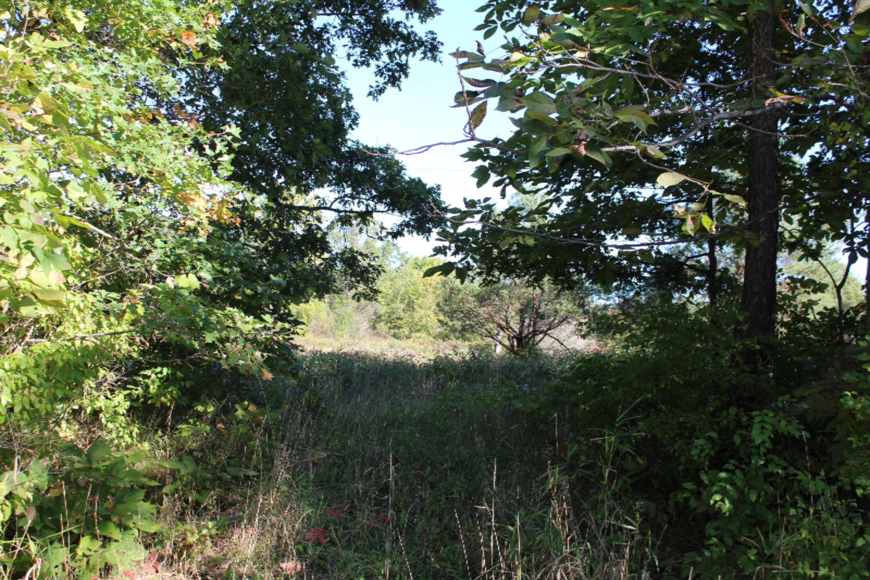 4162 Wheeler Road Belding, MI 48809 - Photo 10 of 25 IMG_0098