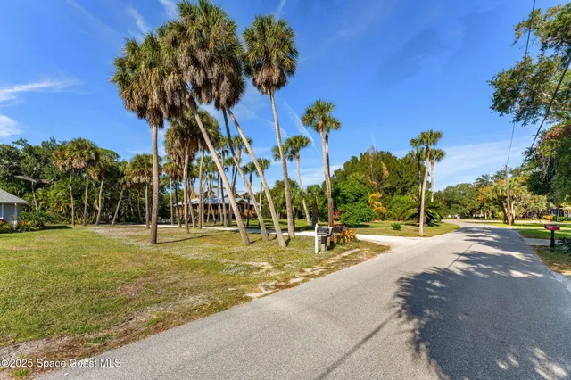 a row of palm trees and swimming pool in the backyard of a house