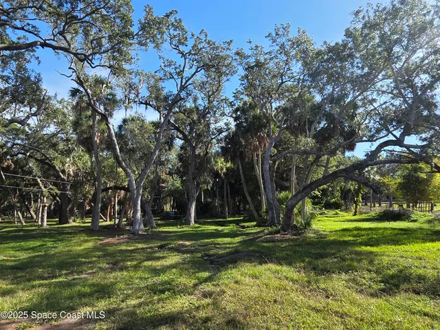 a view of a big yard