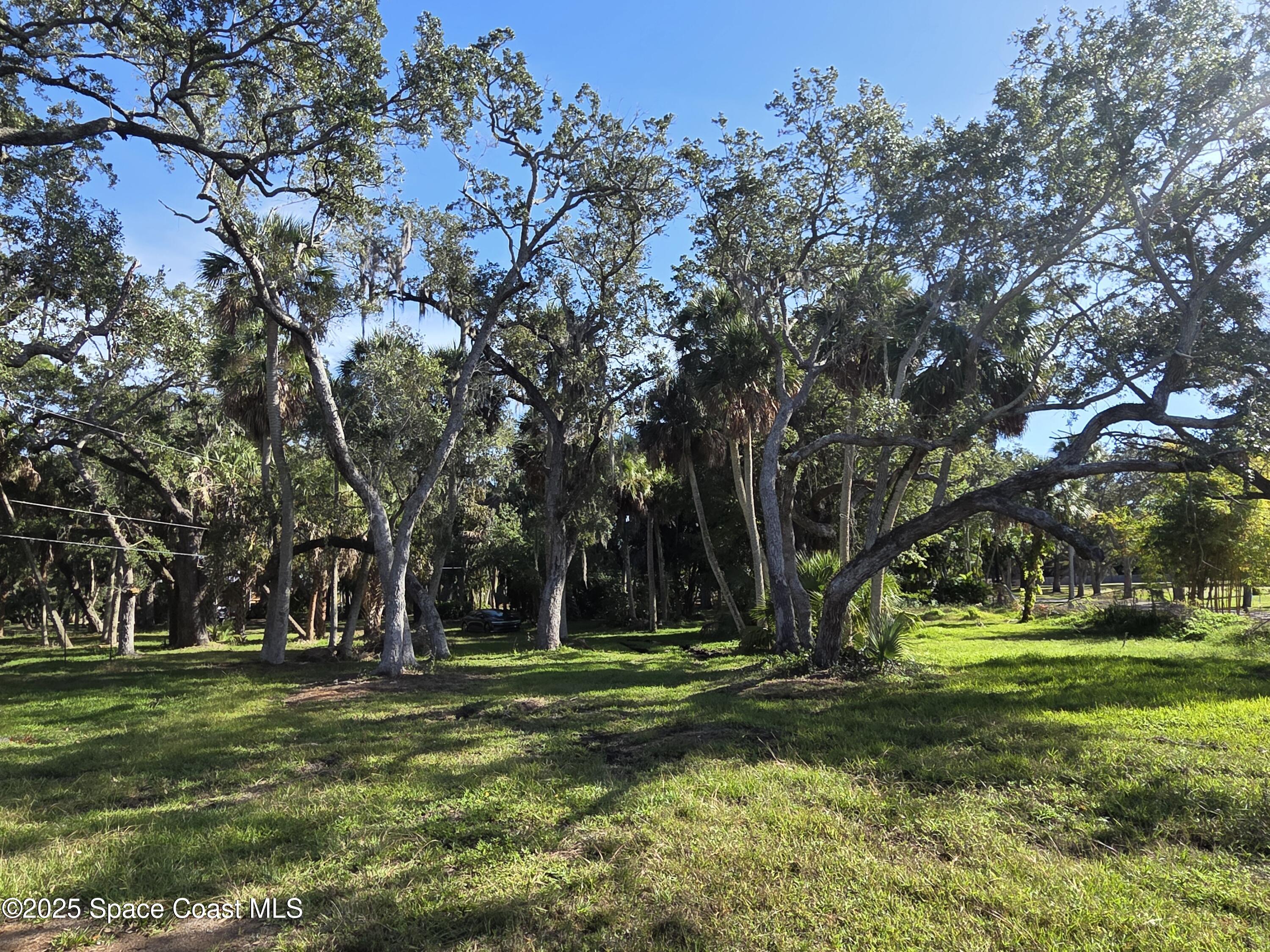 0 Crooked Mile Road Merritt Island, FL 32952 - Photo 24 of 29 a view of a park