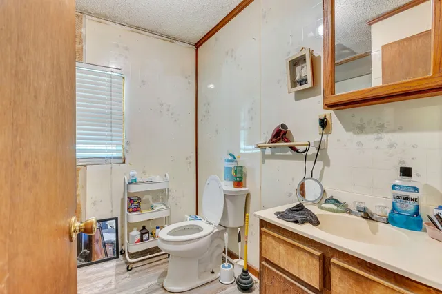 a bathroom with a sink a toilet and a mirror