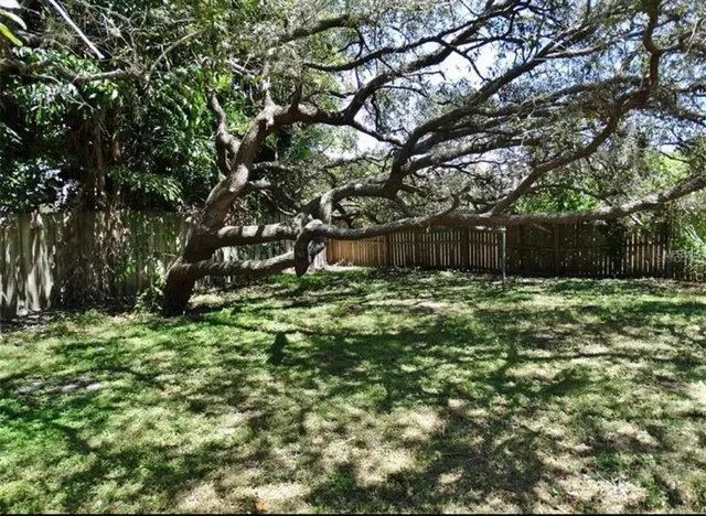 a backyard of a house with large trees
