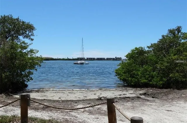 a view of a water fountain