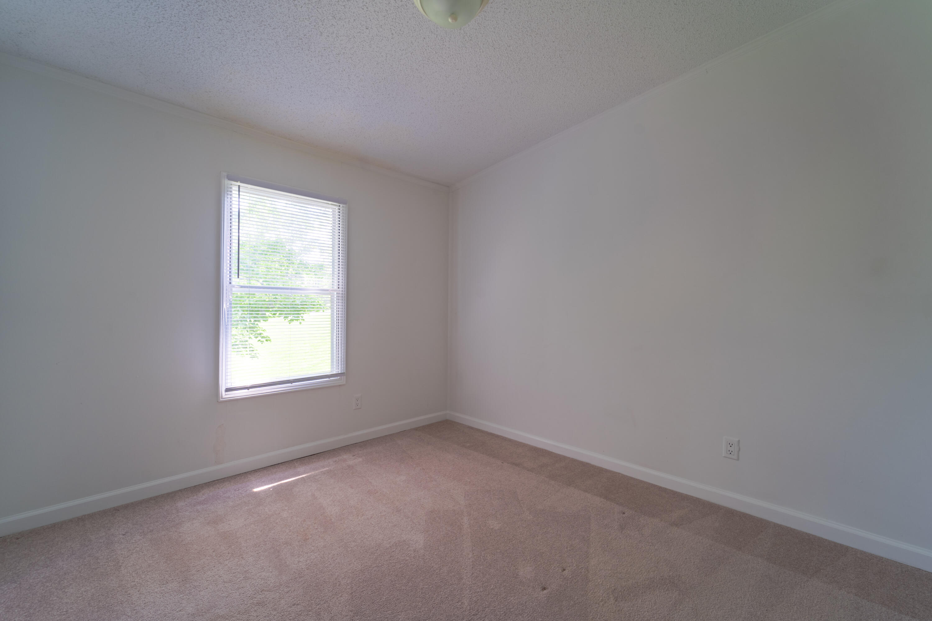 1423 Circlewood Loop Goodview, VA 24095 - Photo 13 of 15 10-DSC09629-HDR