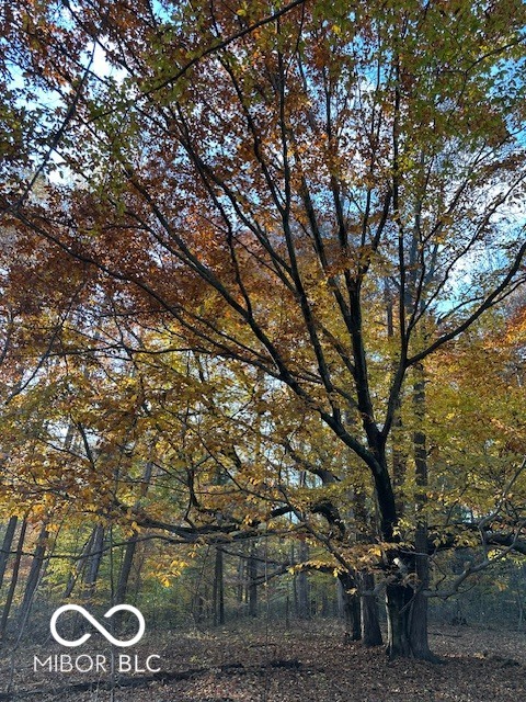 450 South Columbus, IN 47201 - Photo 13 of 19