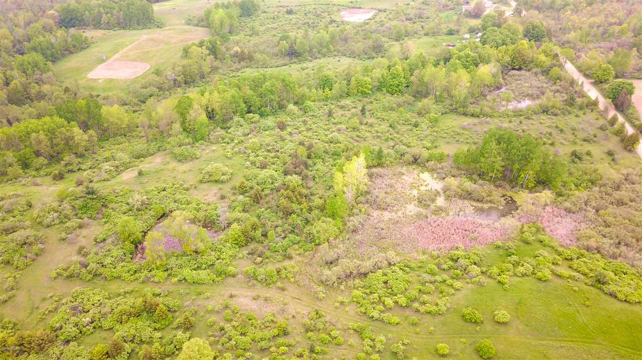 Tbd 7 Mile (86.47 Acres) Road Remus, MI 49340 - Photo 6 of 29
