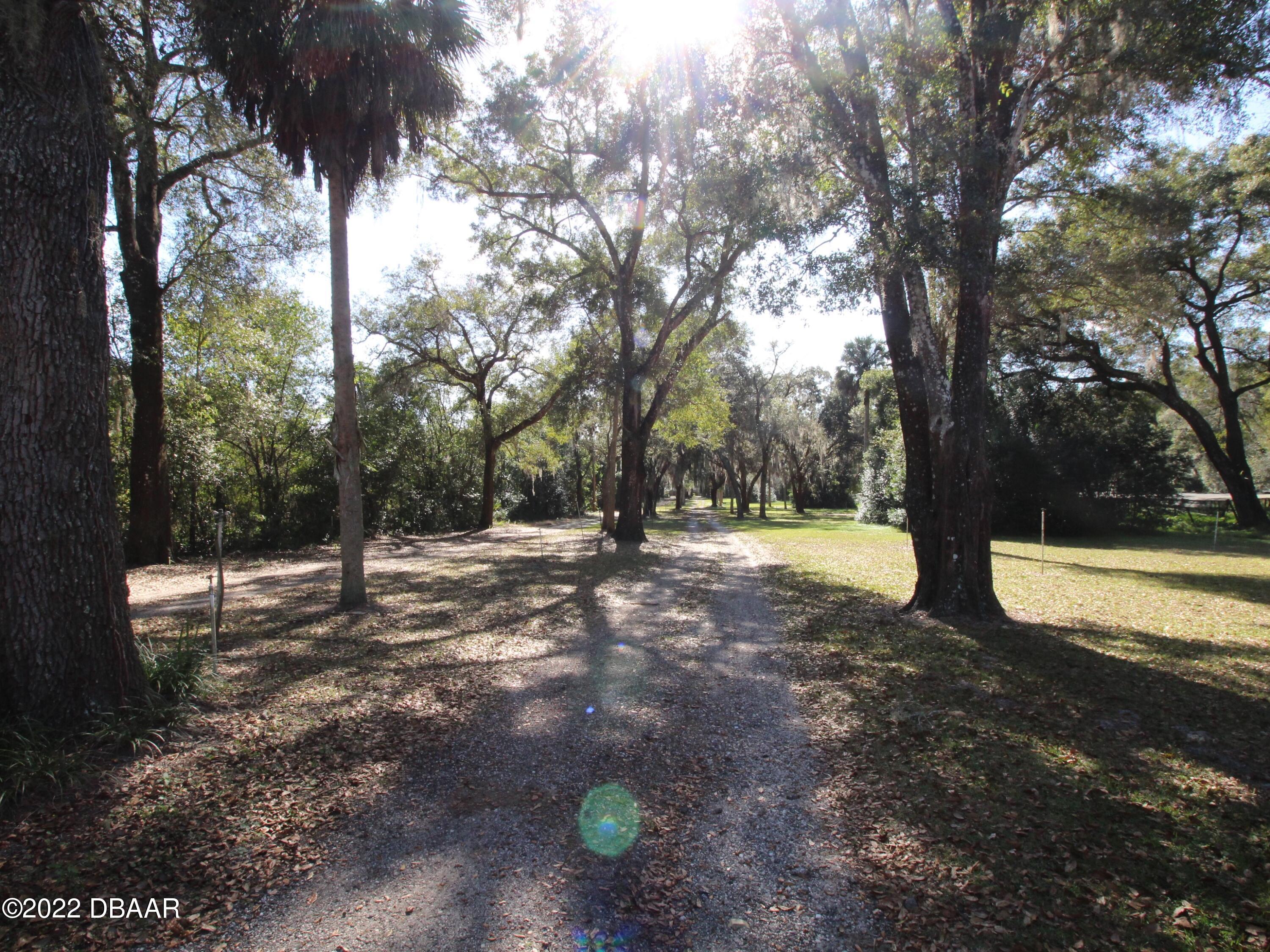 495 Minshew Road Pierson, FL 32180 - Photo 4 of 45 IMG_1107