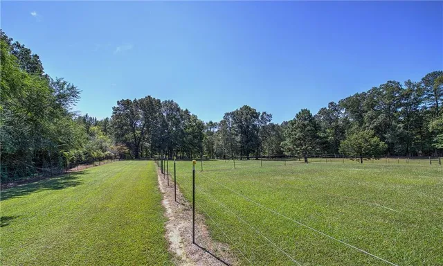 a view of a field with a tree in the background