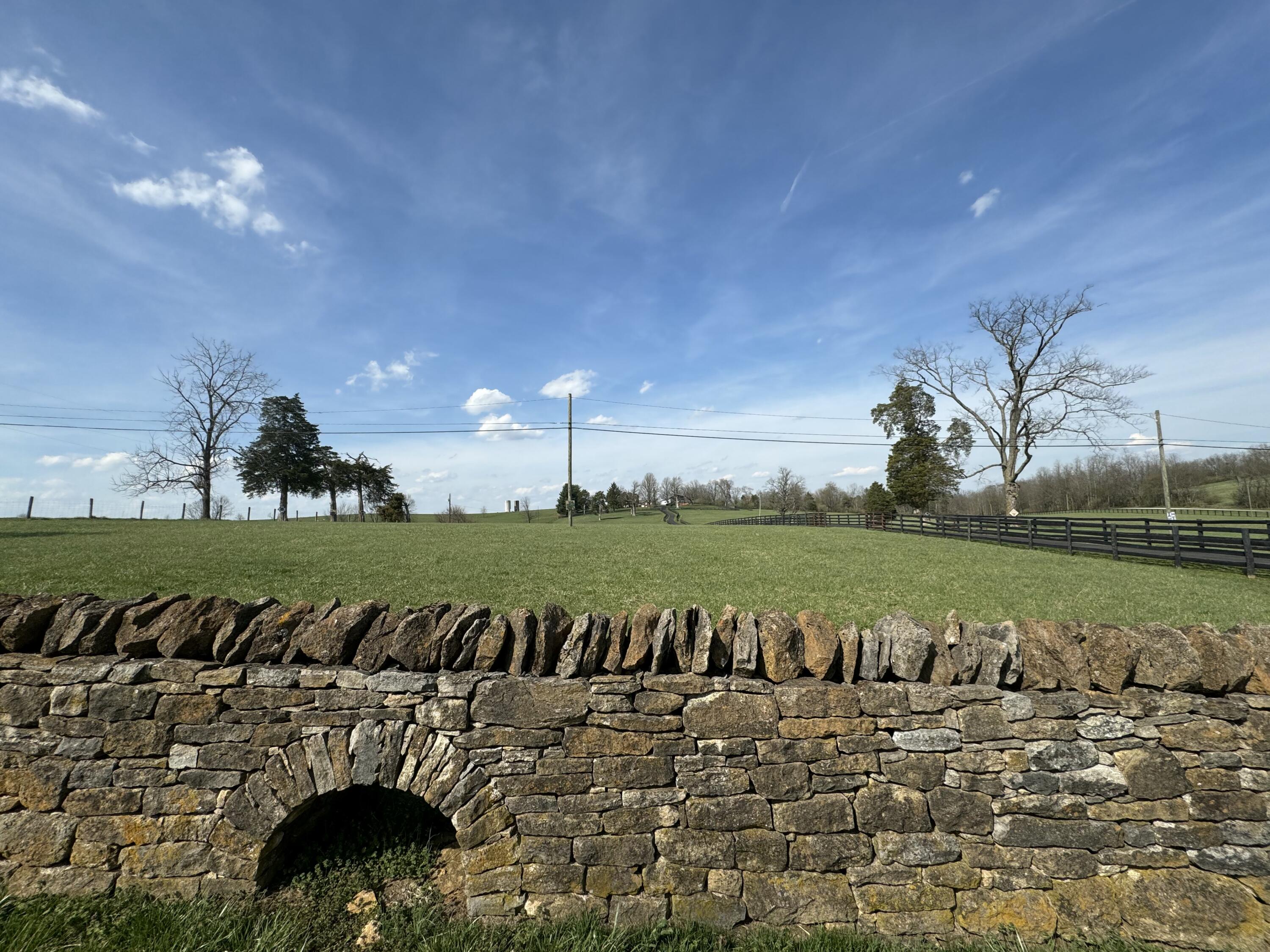 2333 Cane Ridge Road Carlisle, KY 40311 - Photo 44 of 55 IMG_1952