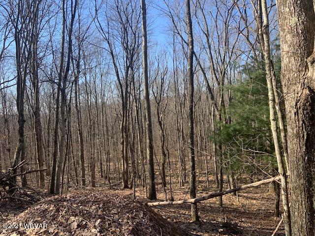 Boone Road, Unit 3 Cross Fork, PA 17729 - Photo 11 of 12 Gallery Image 11
