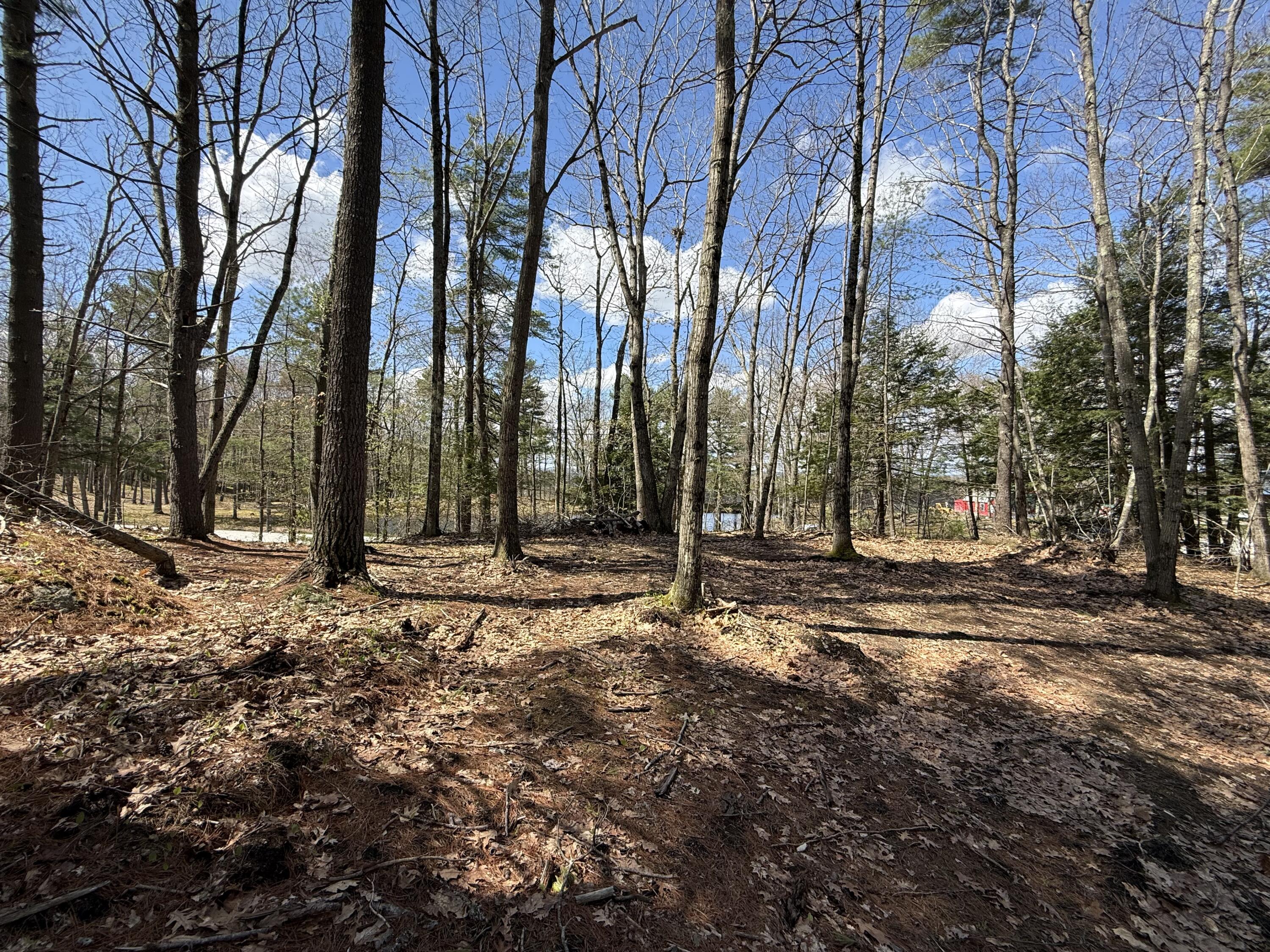 437 Hatch Road Auburn, ME 04210 - Photo 5 of 18 IMG_0689