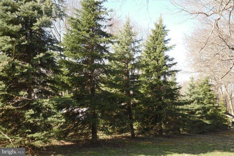 4397 Early Road Frederick, MD 21704 - Photo 22 of 30 a view of tree next to a yard