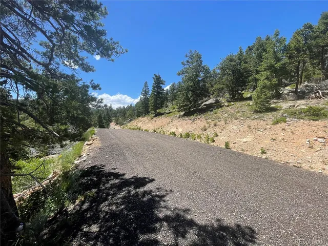 a view of a dirt road with trees
