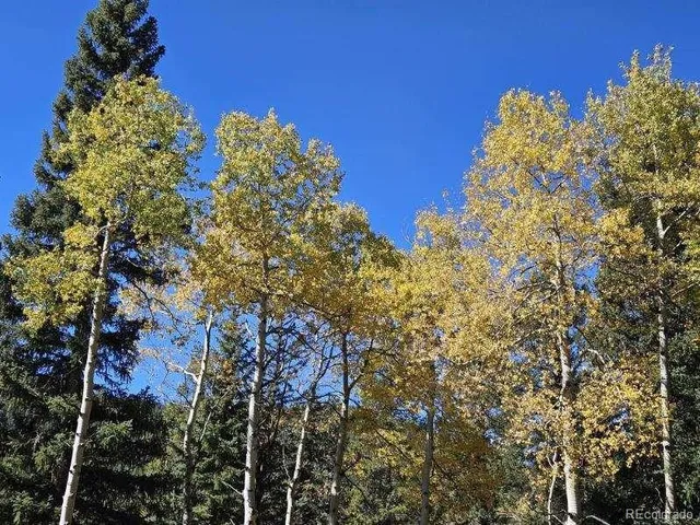 a picture of a building