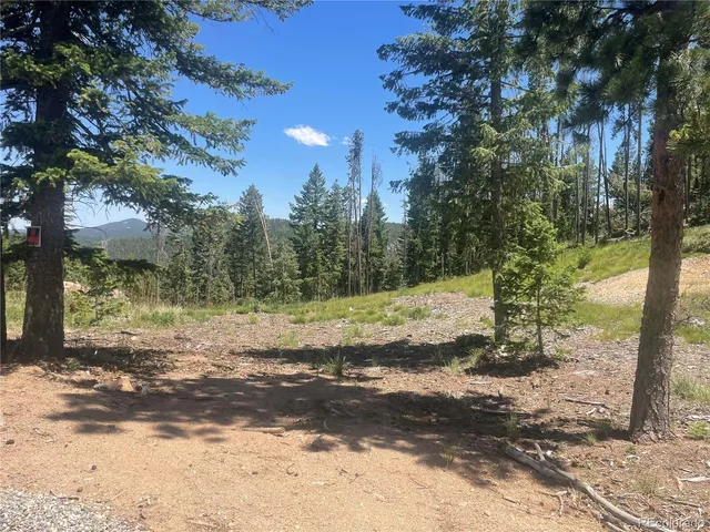 a view of a yard with a tree