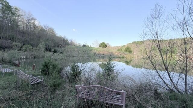 2463 Willow Bend Road Lindside, WV 24951 - Photo 49 of 75 Gallery Image 49