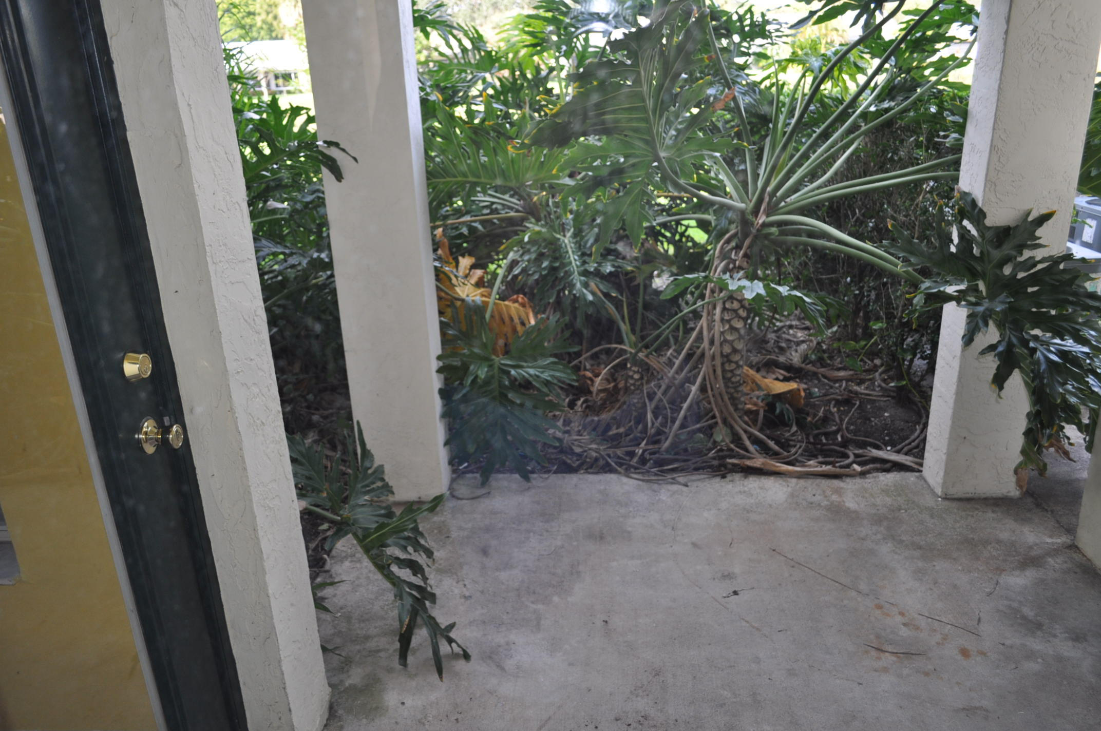 6284 La Costa Drive, Unit B Boca Raton, FL 33433 - Photo 8 of 8 a view of a porch