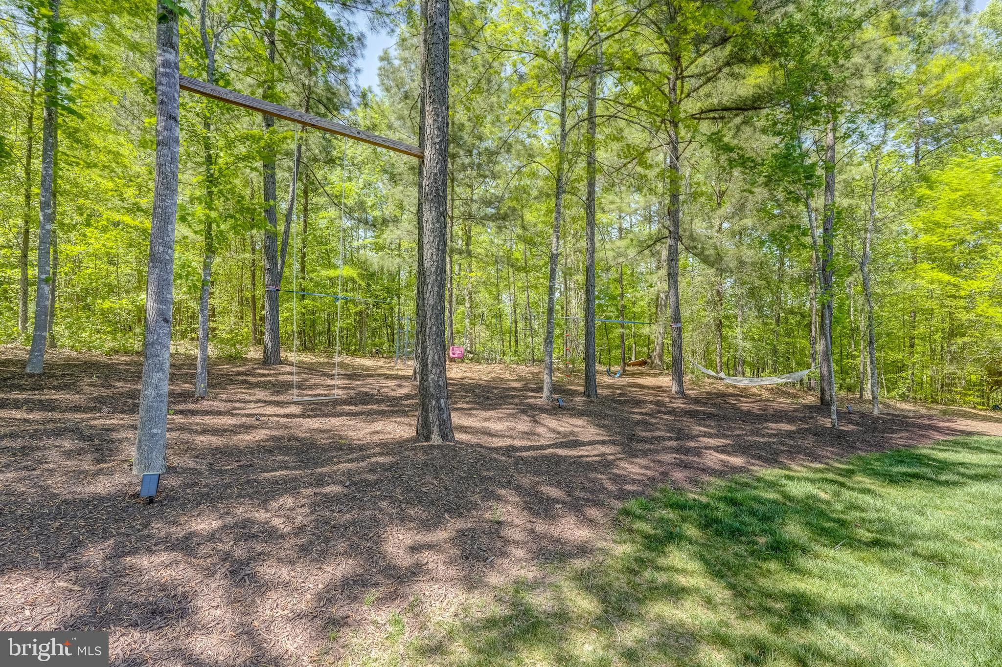 13325 Kelham Road Midlothian, VA 23113 - Photo 95 of 109 a view of a forest with trees in the background