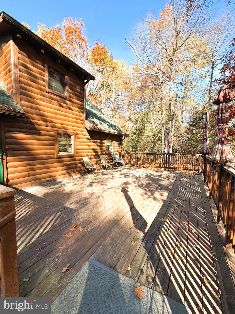 181 Husted Station Road Elmer, NJ 08318 - Photo 8 of 42 Gallery Image 8