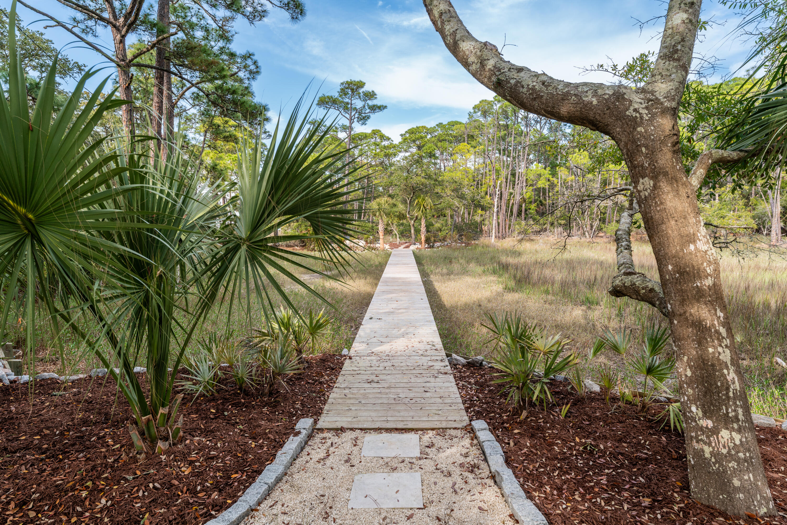 1 Red Sunset Lane Folly Beach, SC 29439 - Photo 42 of 67 1RedSunset-35