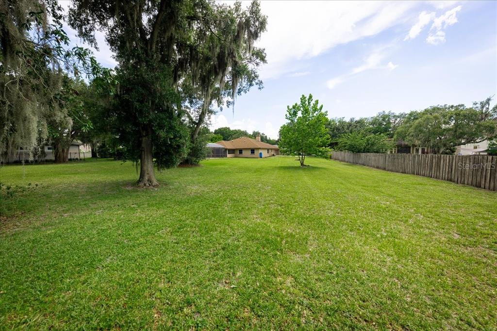 3443 Wild Myrtle Court Windermere, FL 34786 - Photo 26 of 32 a view of an trees in a field