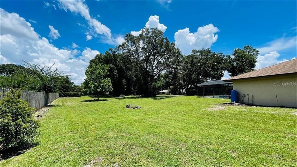 3443 Wild Myrtle Court Windermere, FL 34786 - Photo 27 of 32 a backyard of a house with lots of green space