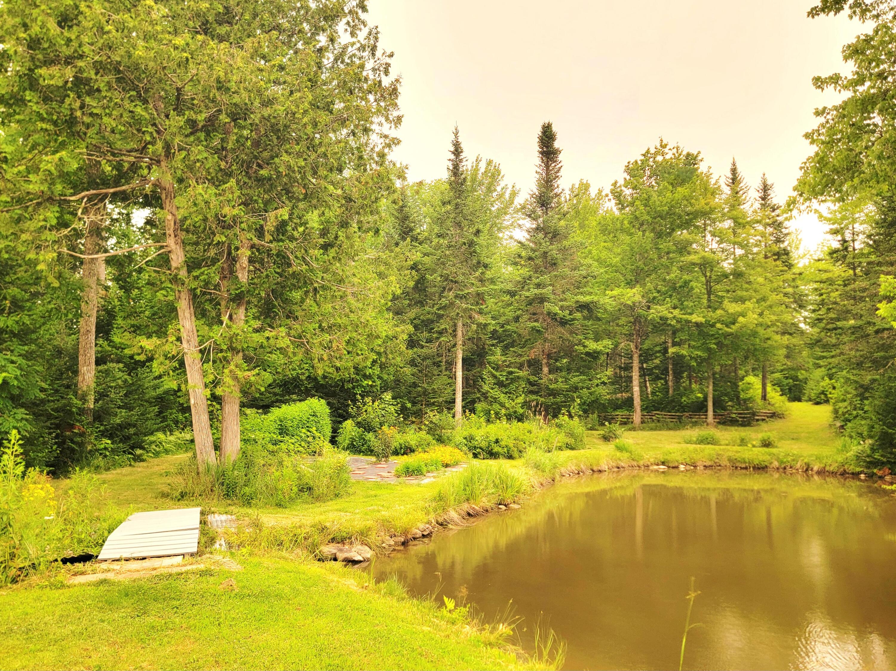 3373 Mariaville Road Mariaville, ME 04605 - Photo 44 of 63 Farm Pond