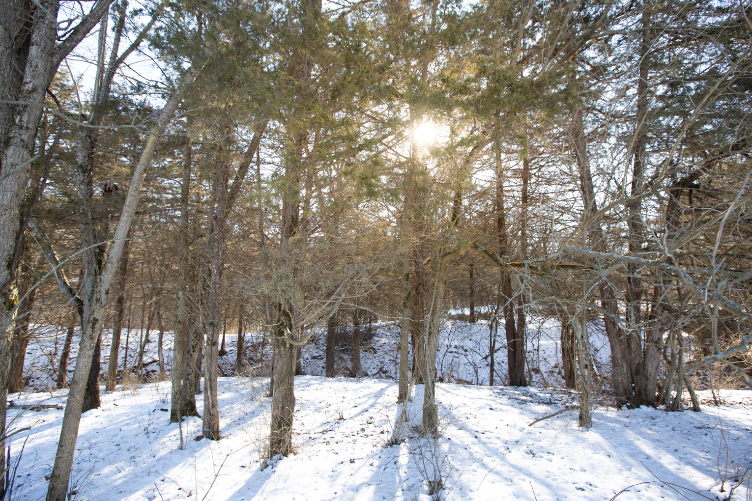 1102 North 1929th Road Tonica, IL 61370 - Photo 1 of 20 a street view covered with snow