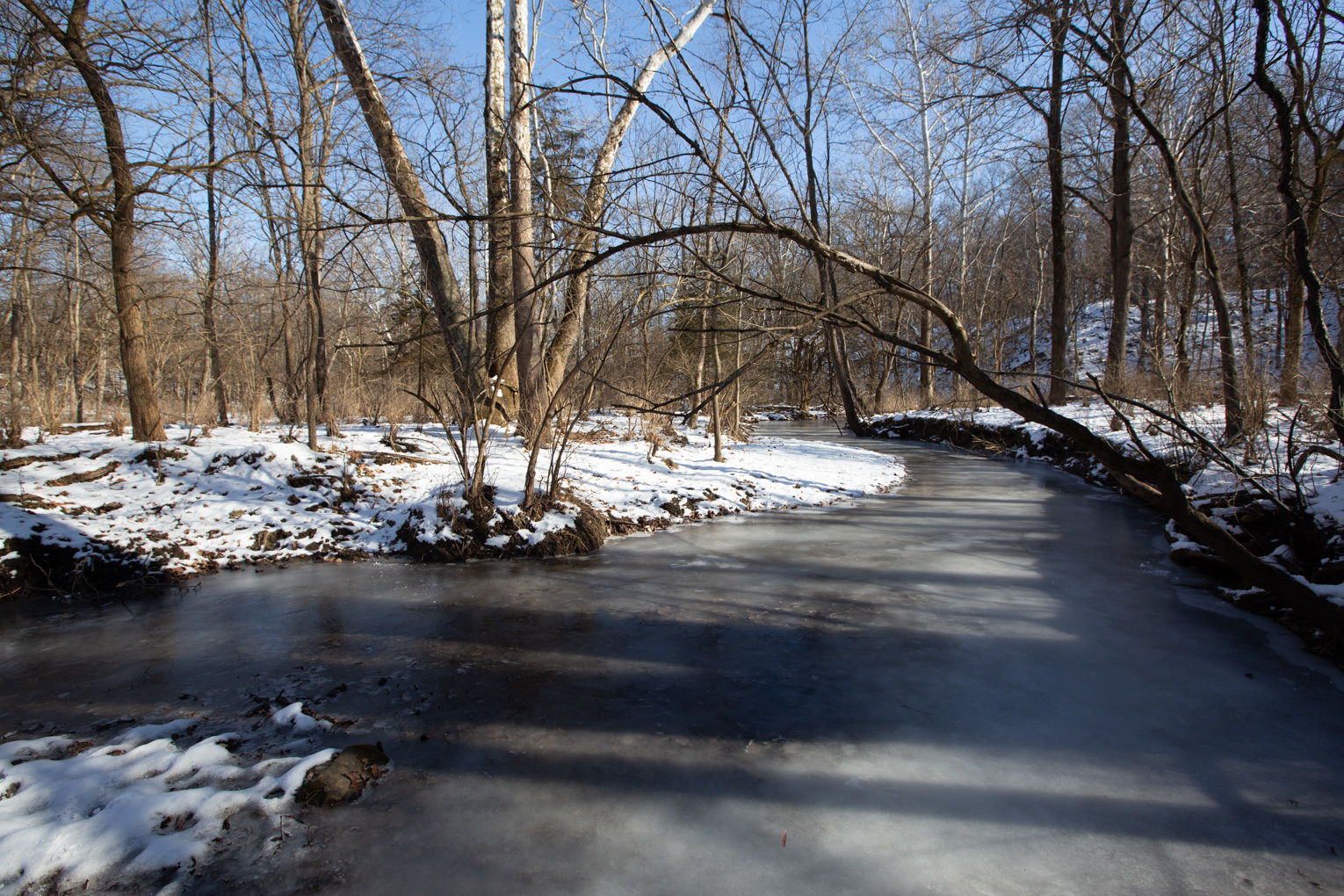 1102 North 1929th Road Tonica, IL 61370 - Photo 15 of 20 a backyard of a house with lots of green space