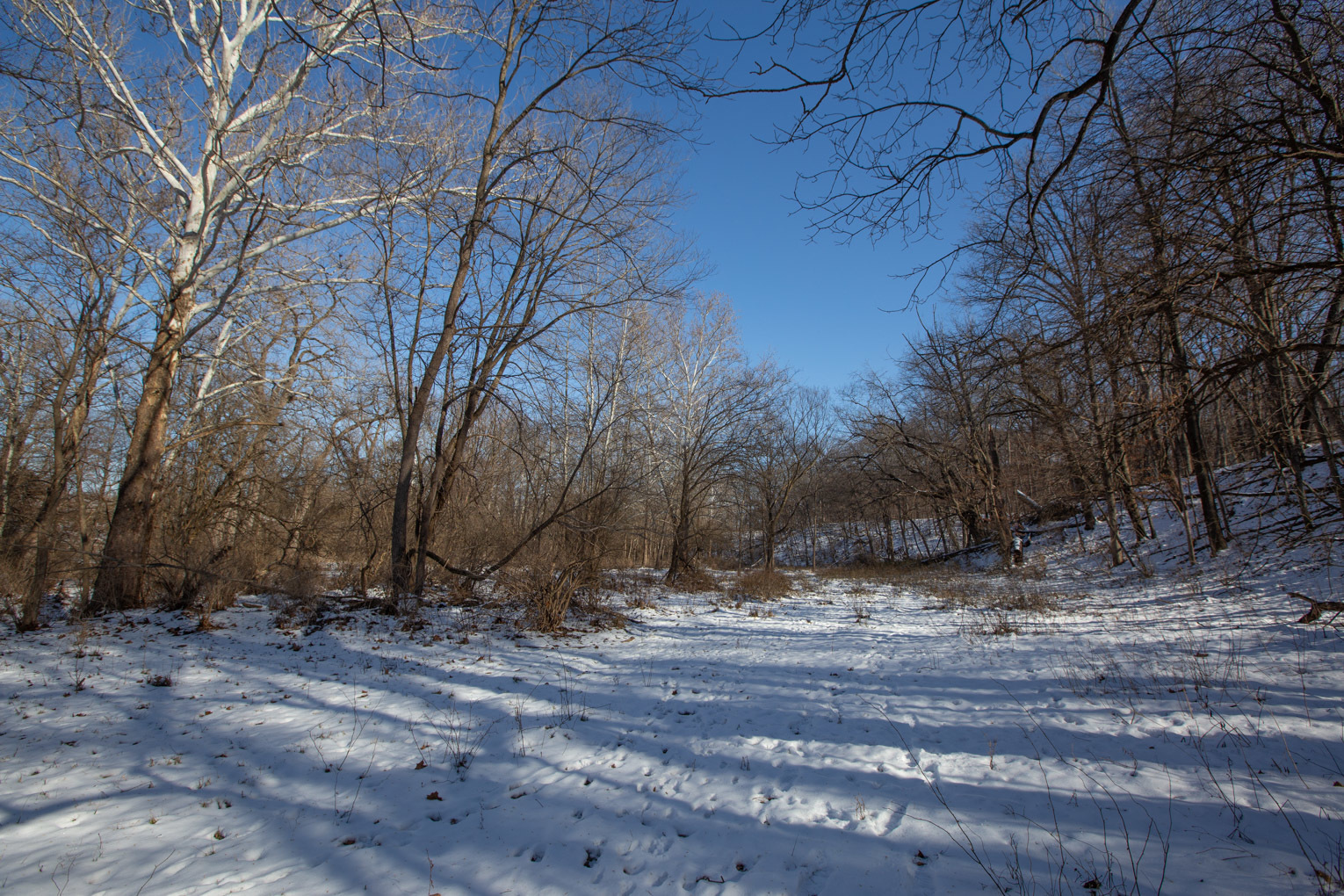 1102 North 1929th Road Tonica, IL 61370 - Photo 16 of 20 a view of covered with snow