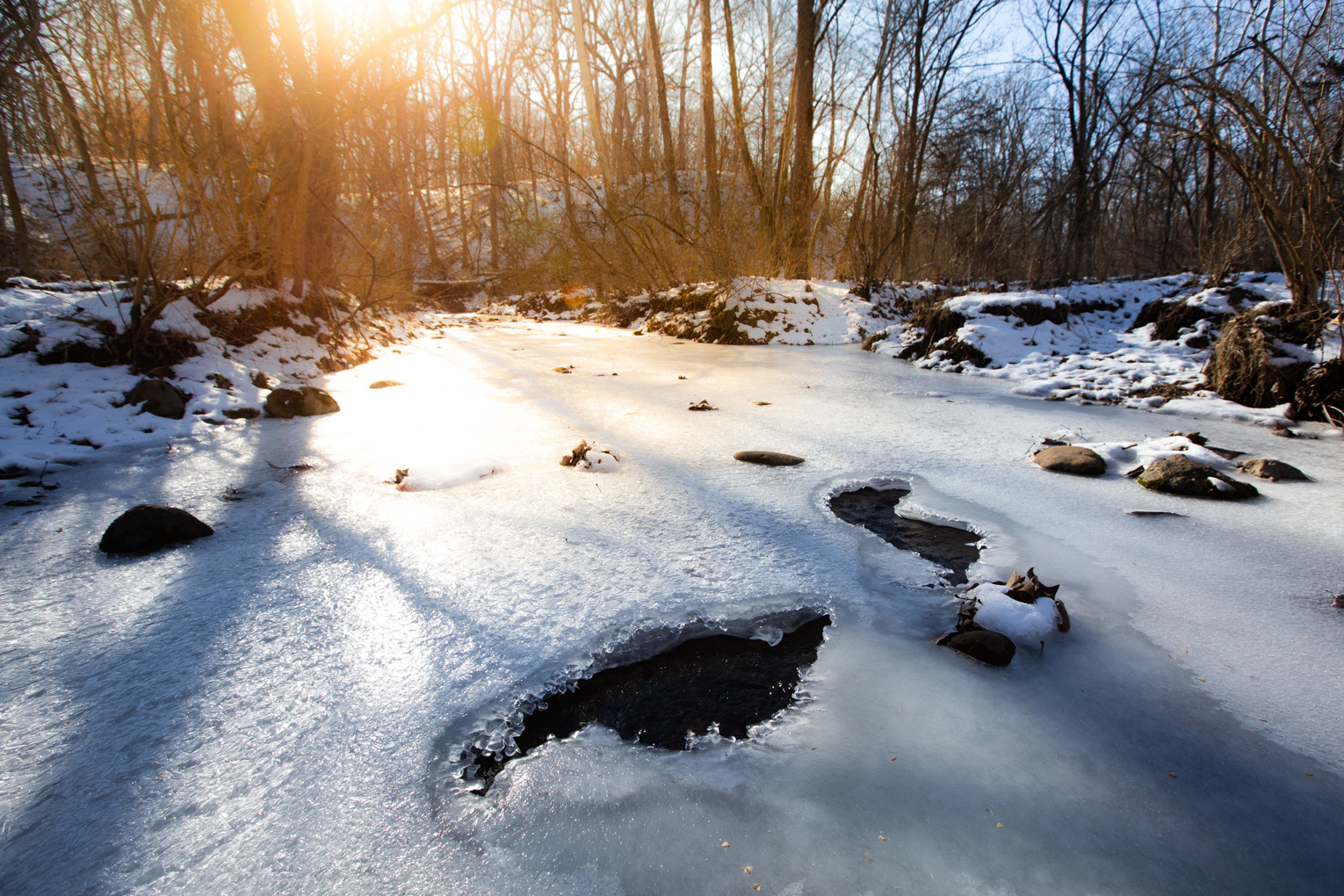 1102 North 1929th Road Tonica, IL 61370 - Photo 20 of 20 a view of backyard of a house